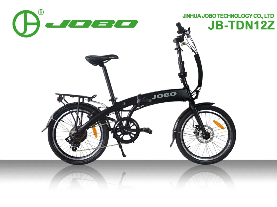 Folding Electric 250W Mini Bicycle with 20 Inch Wheels