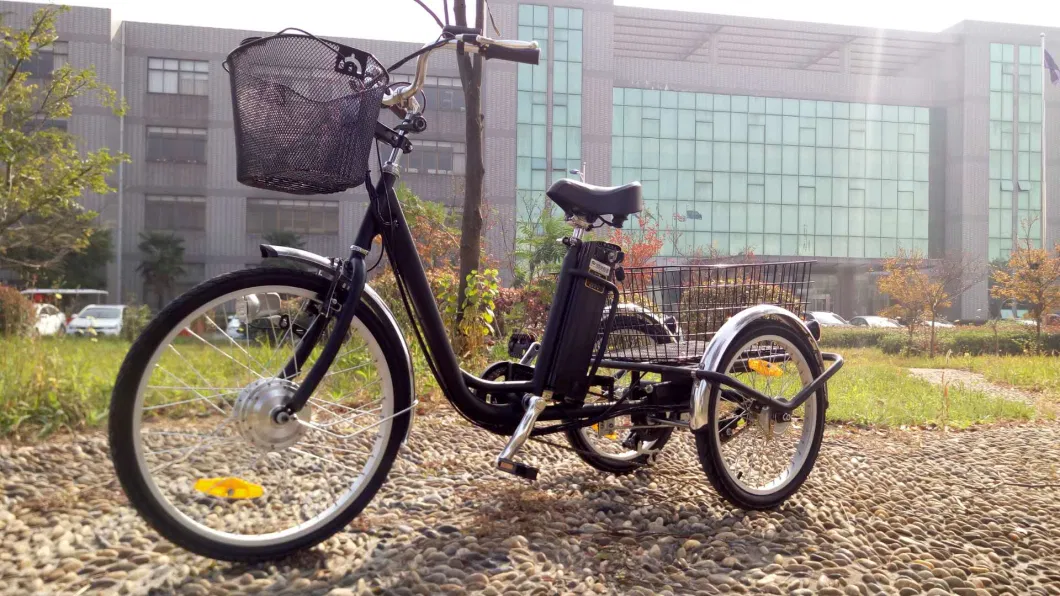 250W/350W/500W 3 Wheel Classic Adult Electric Tricycle with En 15194 Certification