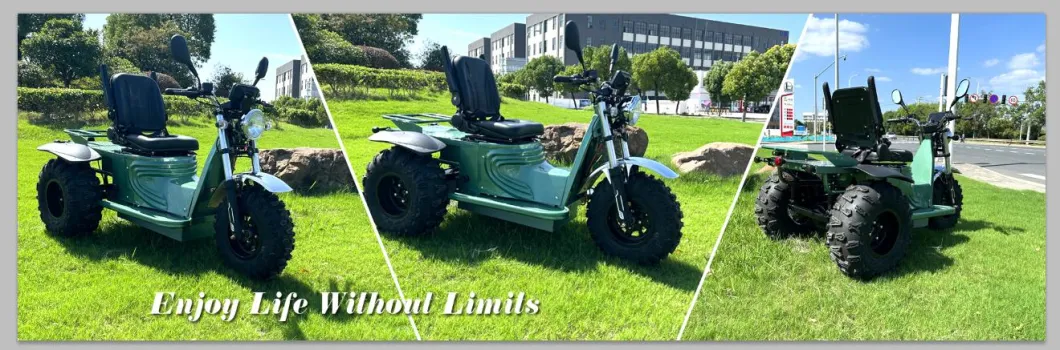 off Road 3 Wheel Electric Mobility Scooter with CE