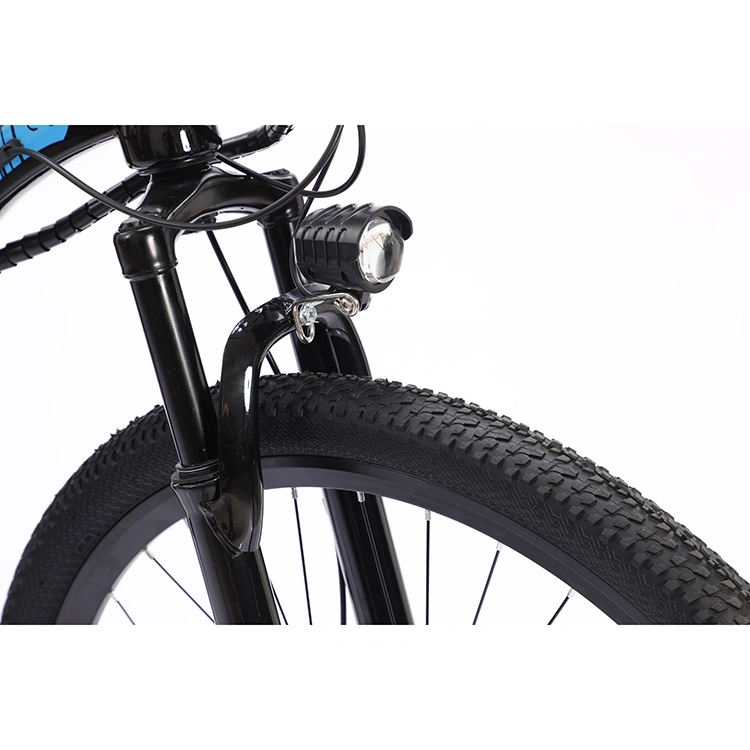 OEM Factory Wholesale Fat Tire Electric Bike with Disc Brake