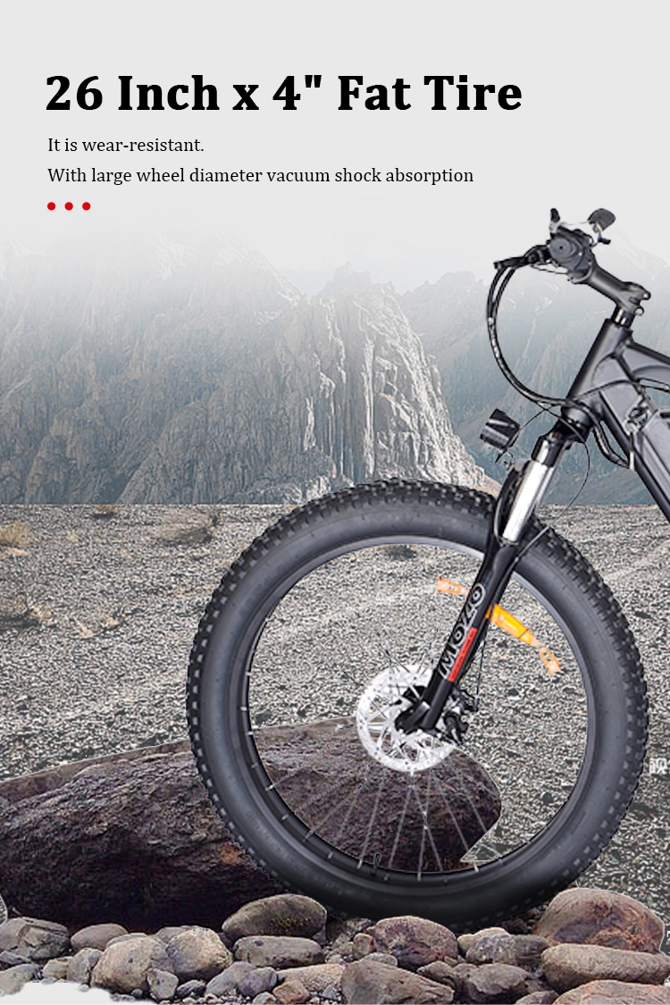 Electric Hybrid Bike Electric Mountain Fat Tire Bike Electric Bicycle Ebike