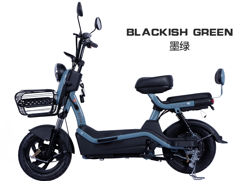 Luxury 350W 2 Wheel Electric Bike Scooter/Electric Moped with Pedals