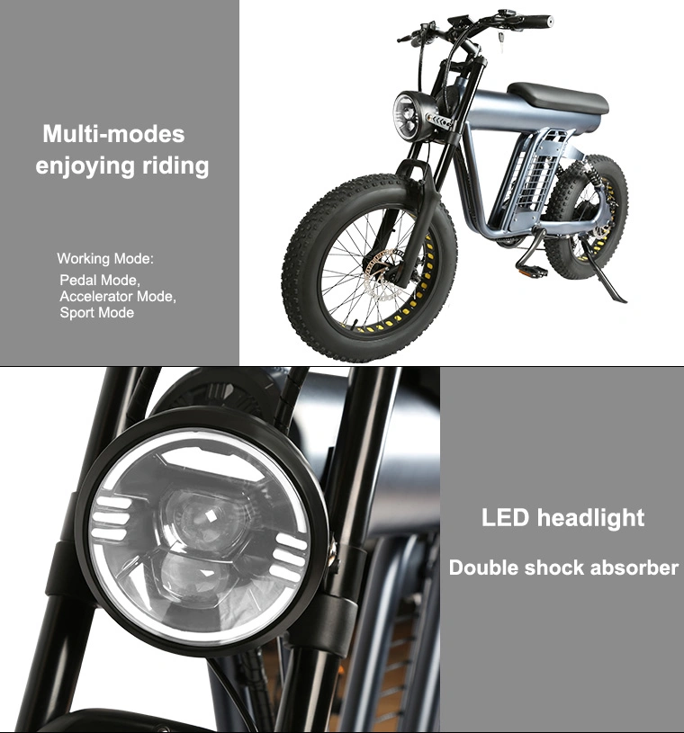 DC 1000W Electric Bikes Motorcycle Bicycles Battery Ebike 48V Lithium E Bike