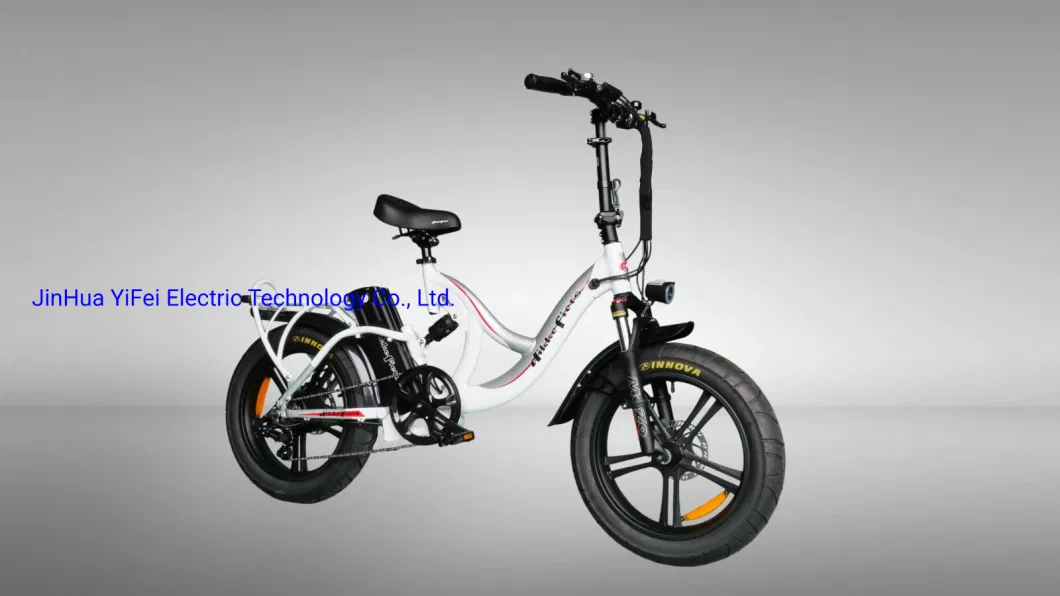 China E-Bike Factory Electric Bike 20&quot; Lady Mountain Bicycle Brushless Motor off Road Electric Ebike