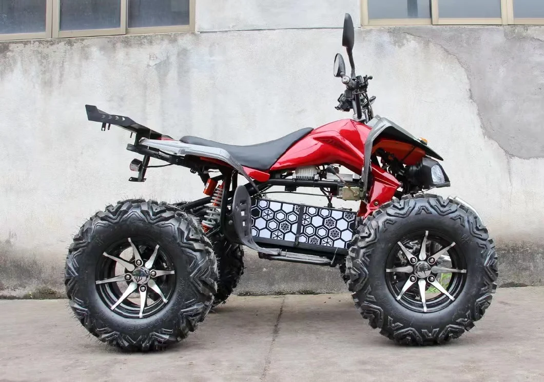 Fast 3000W 72V Electric Quad Bikes Long Range for Adults Two Seats