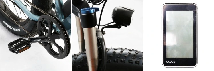 48V 18ah Thumb Throttle Electric Bike with Lithium Battery