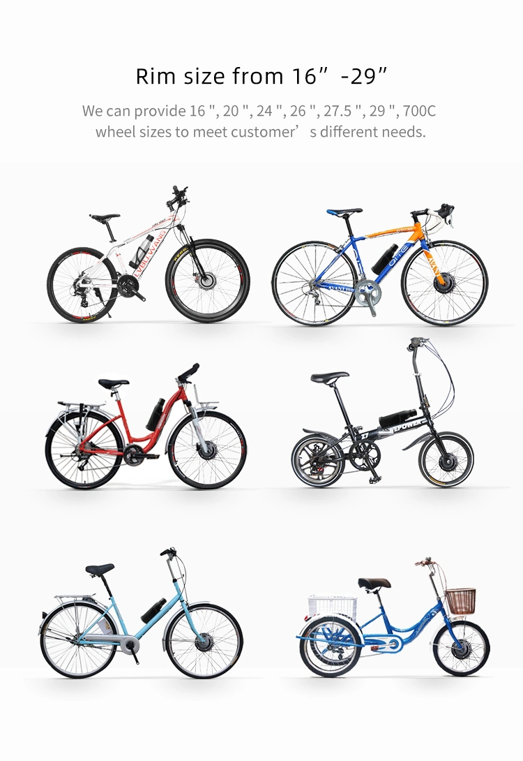 Lvbu Wheel By20d Front Wheel Bike Conversion Electric Bike Kit E-Bike Motor Kit