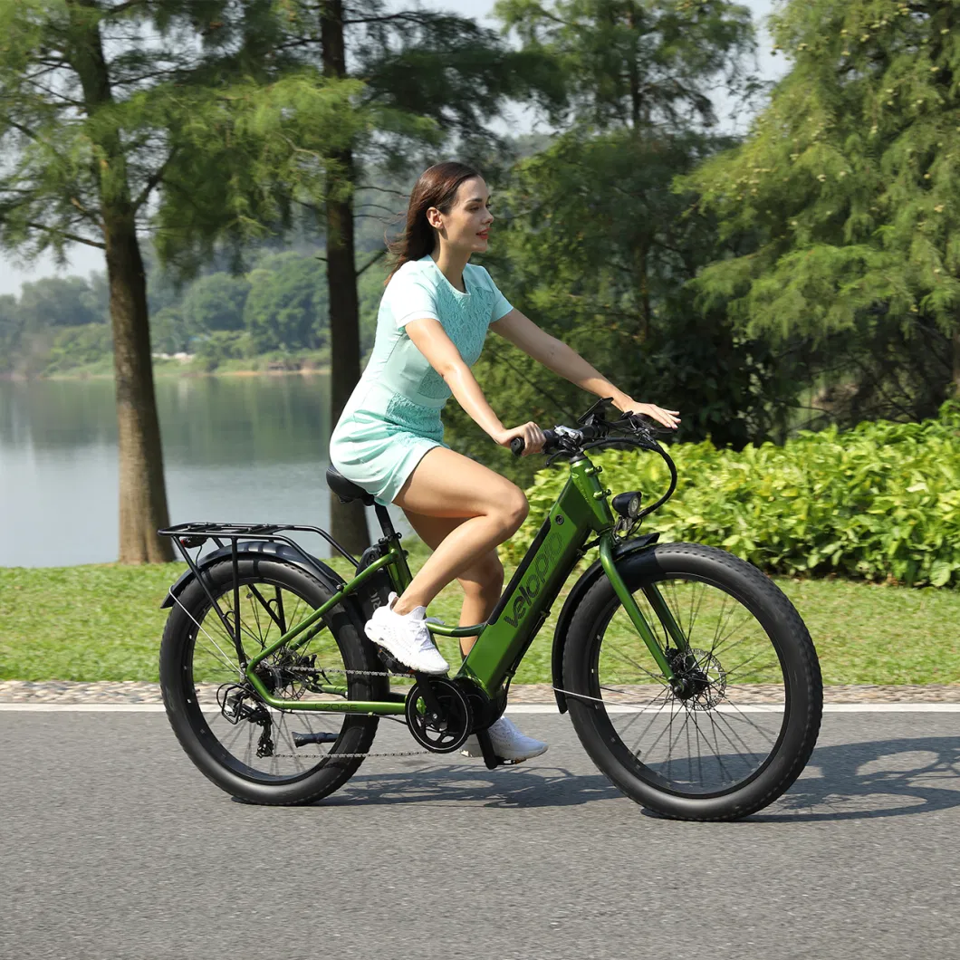 48V 750W Fat Tire 26inch Electric City Bike Electric Motorbike for Sale