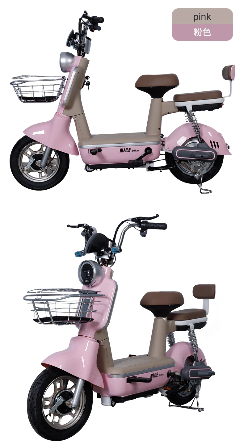 48V20ah Electric Scooter Electric Bicycle Electric Moped