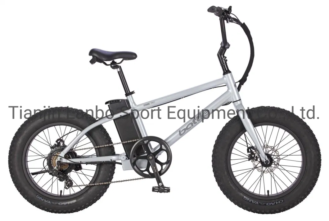 20 Inch 10ah 500W 36V Alloy Electric Folding Bike E Fatbike Electric Bikes Ebikes