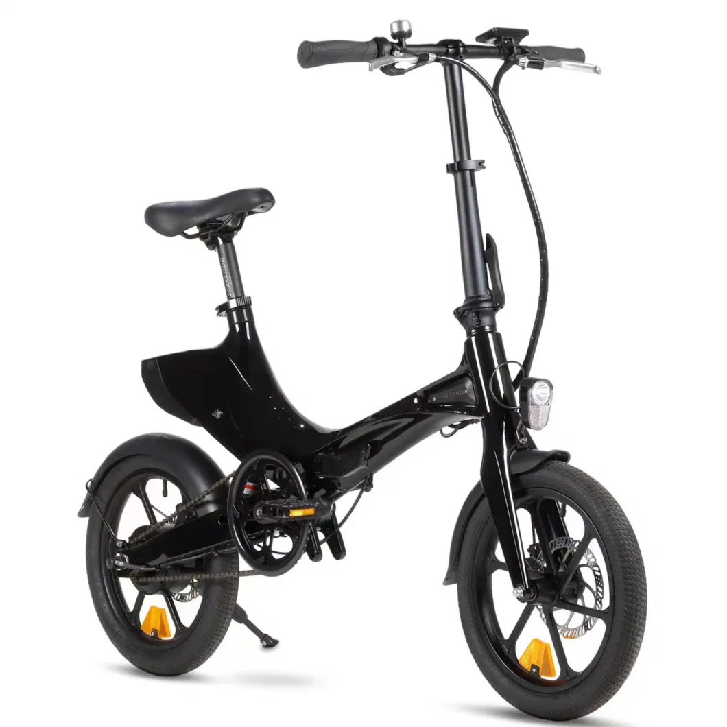 Foldable Ebike 300W Hub Motor Electric Bike Folding Electric City Bicycle