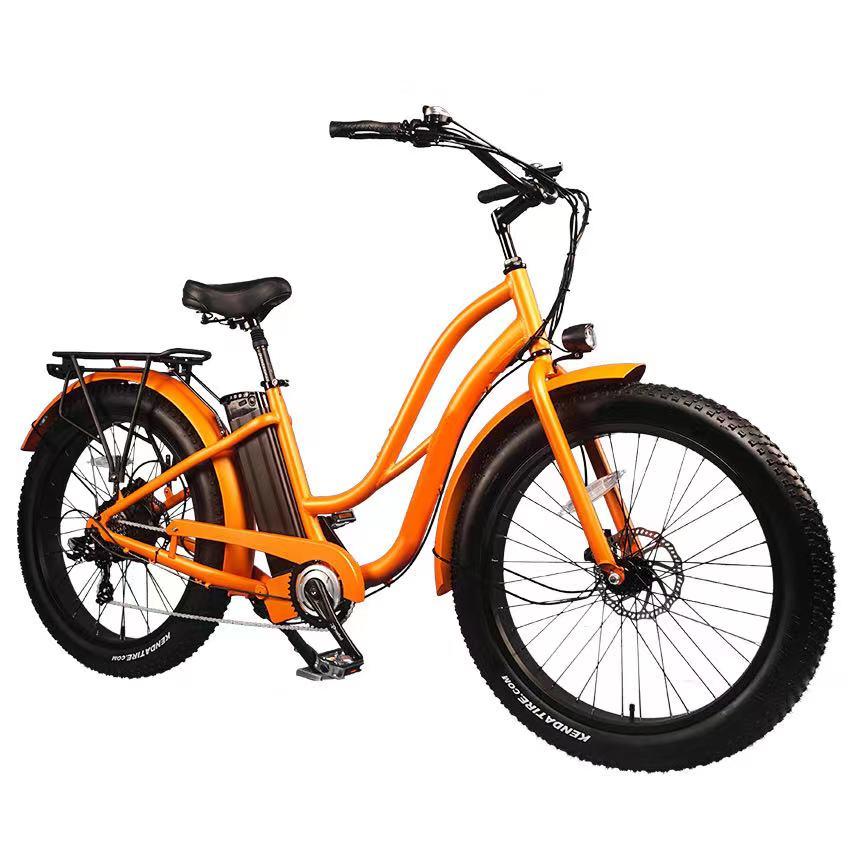 48V750W Electric Bike Spare Parts/Electric Bike Fat Tire