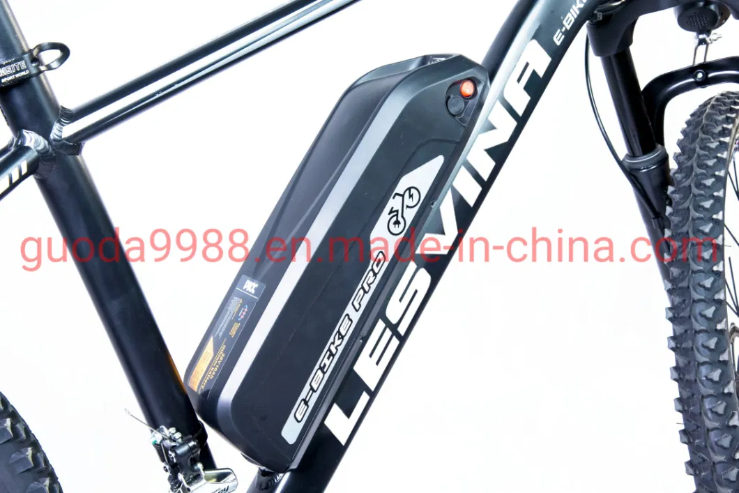 36V 300W Electric Bike Lithium Battery Bicycle China Wholesale