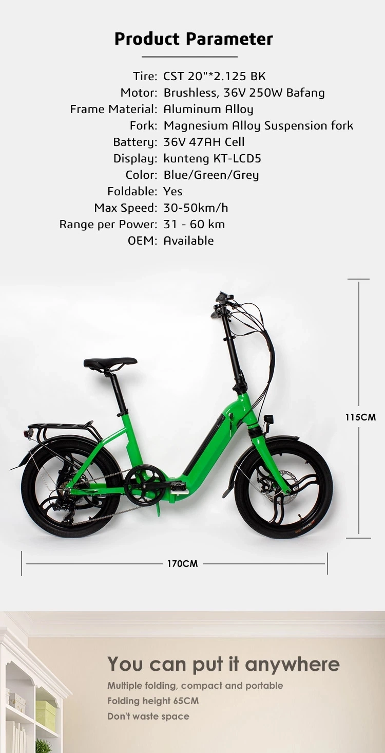 20 Inch Step-Thru Electric Bike with Lithium Battery Guangzhou Factory