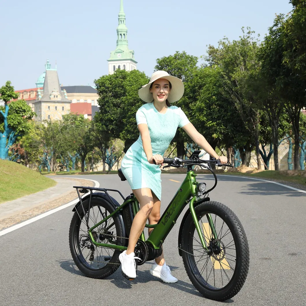 48V 750W Fat Tire 26inch Electric City Bike Electric Motorbike for Sale