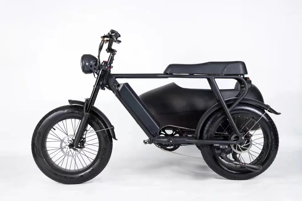 Electric Light-Duty Electric Bicycle for Commuting Three-Wheeler Electric Tricycle