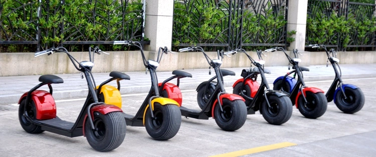 2wheel 60V 1000W Citycoco Mobility Scooter Electric Scooter E-Scooter with Seat E-Scooter