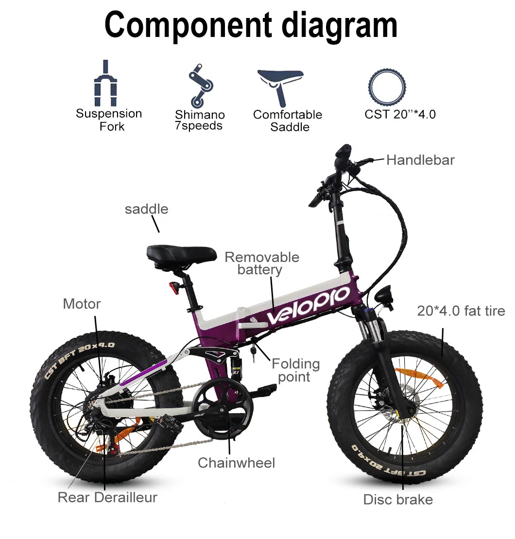 Suspension Fork Fat Tire Electric Folding Bike Electric Motorcycle