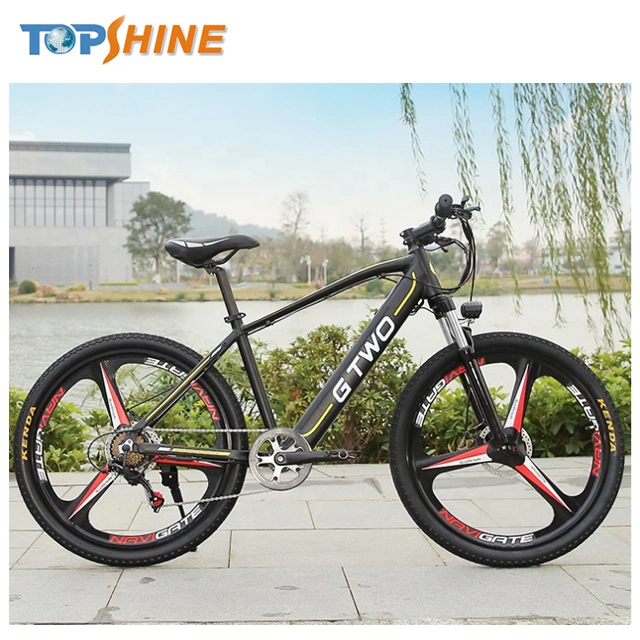 26 Inch Electric Bike with Integrated Wheel