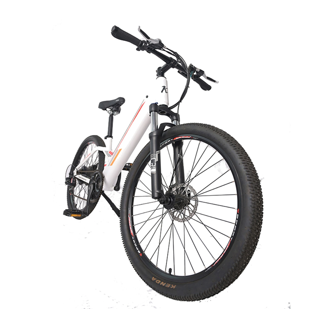 Cycle Electric Bicycle/Downhill Bike Electric/E Bicycle 2023/E Bicycle 27.5&quot;
