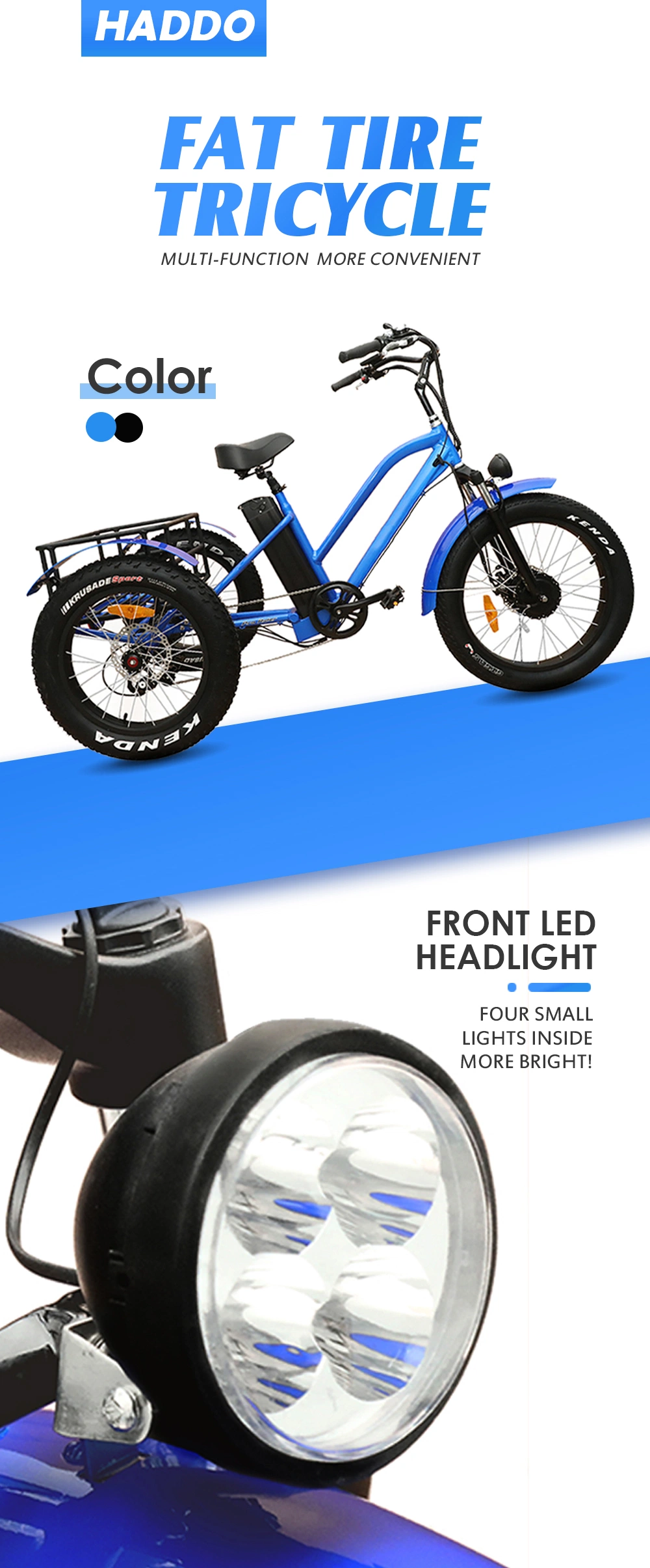 3 Wheels Electric Catgo Bike /Tricycle /Trike with Disc Brakes