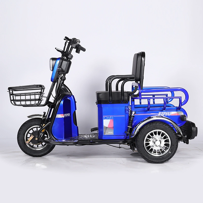 Cheap Manufacture Electric Bike Three Wheeler with 27h 700W Motor Factory Directly Sell 25h600W Three Wheel E Tricycle Bike