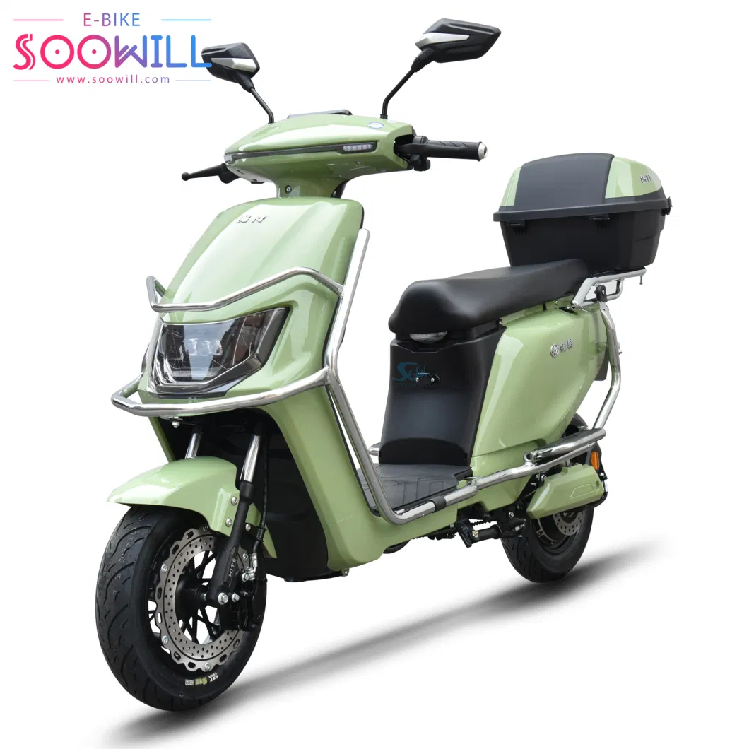 2000W Electric Scooter Conventional E-Bike with Ternary Lithium Battery Gecko Scooty