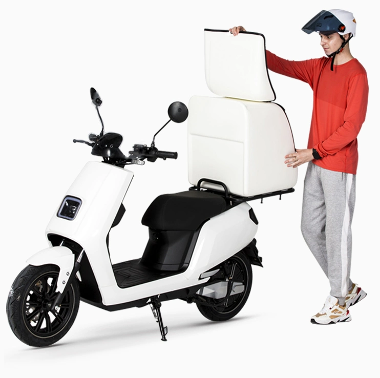 Hot Sale Electric Motorbike with Delivery Box