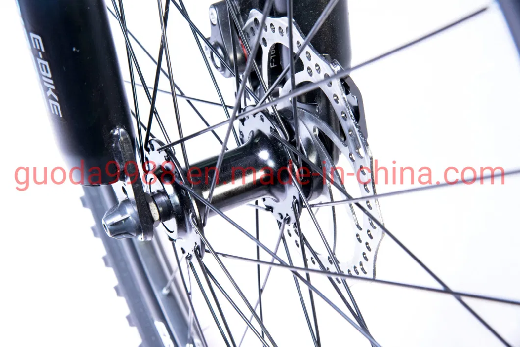 36V 300W Electric Bike Lithium Battery Bicycle China Wholesale