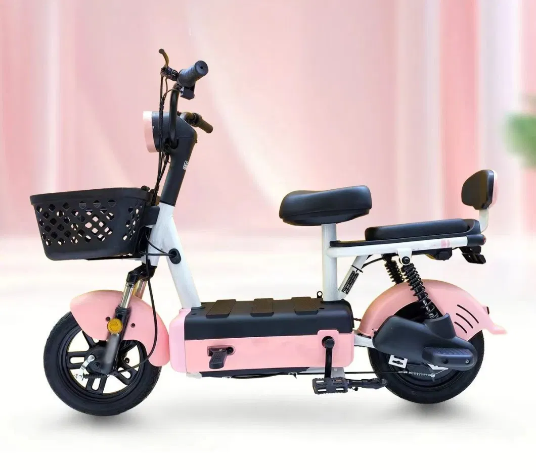 Cheap, High-Quality, and Most Popular Two Wheeled Electric Bicycles Equipped with High-Quality Motors