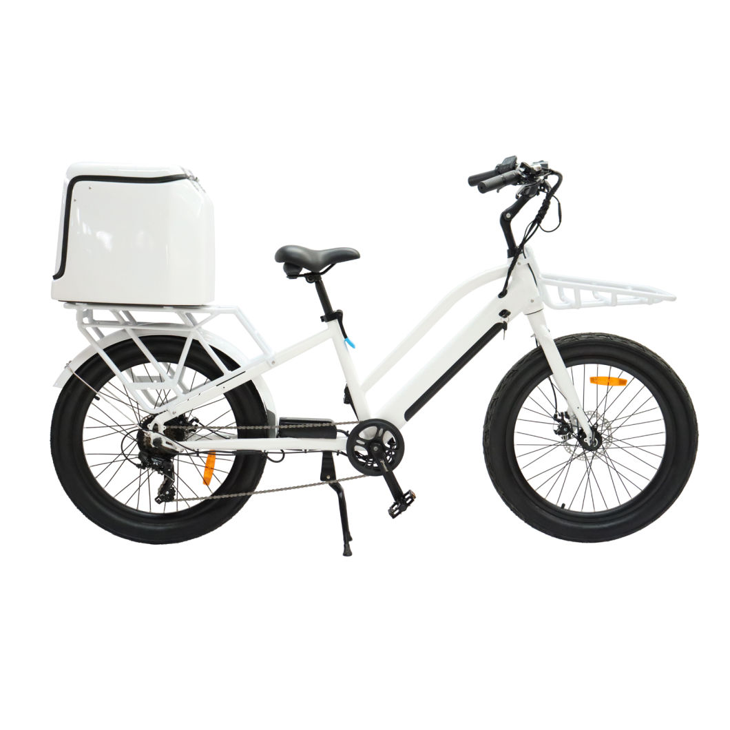 Hot Selling Electric Delivery Bike Cargo Ebike with 24*3.0 Tire