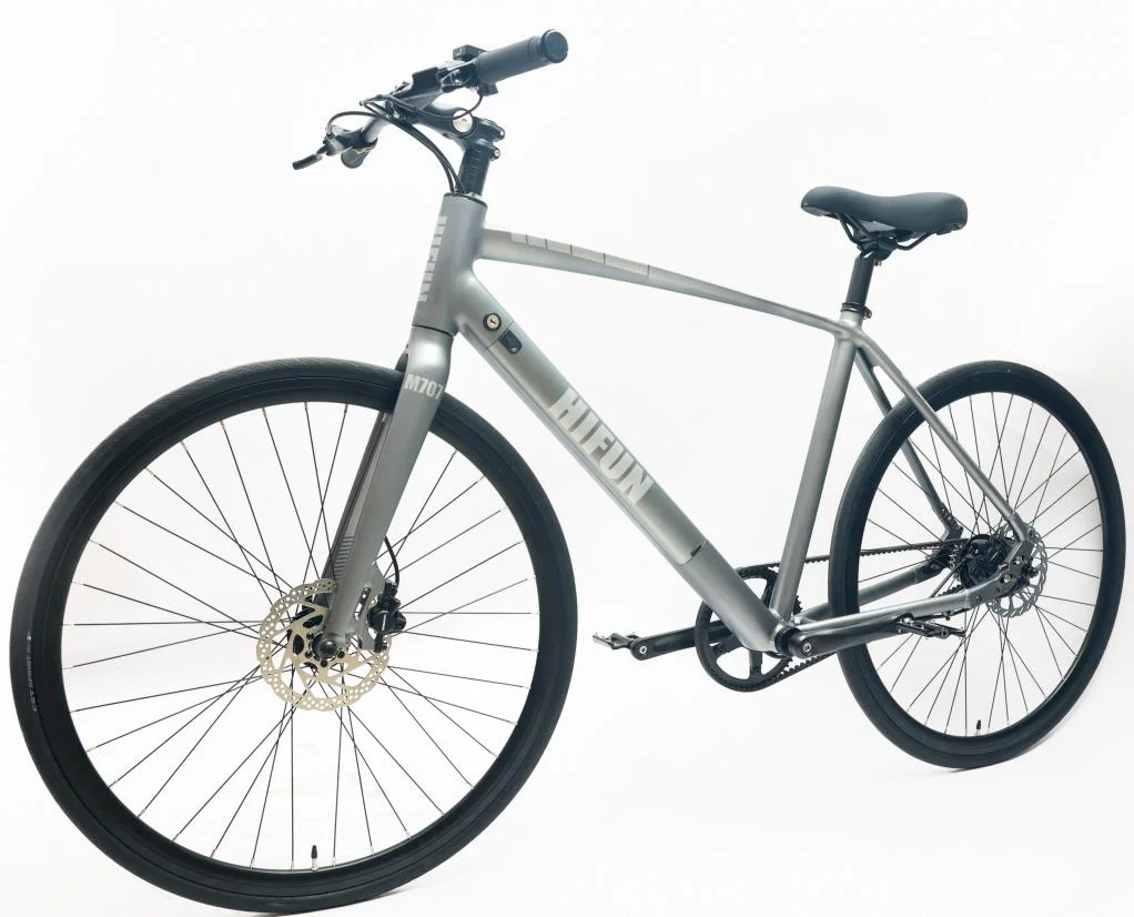 Hifun Electric Bicycle Pedelec E-Bicycle Lady Man