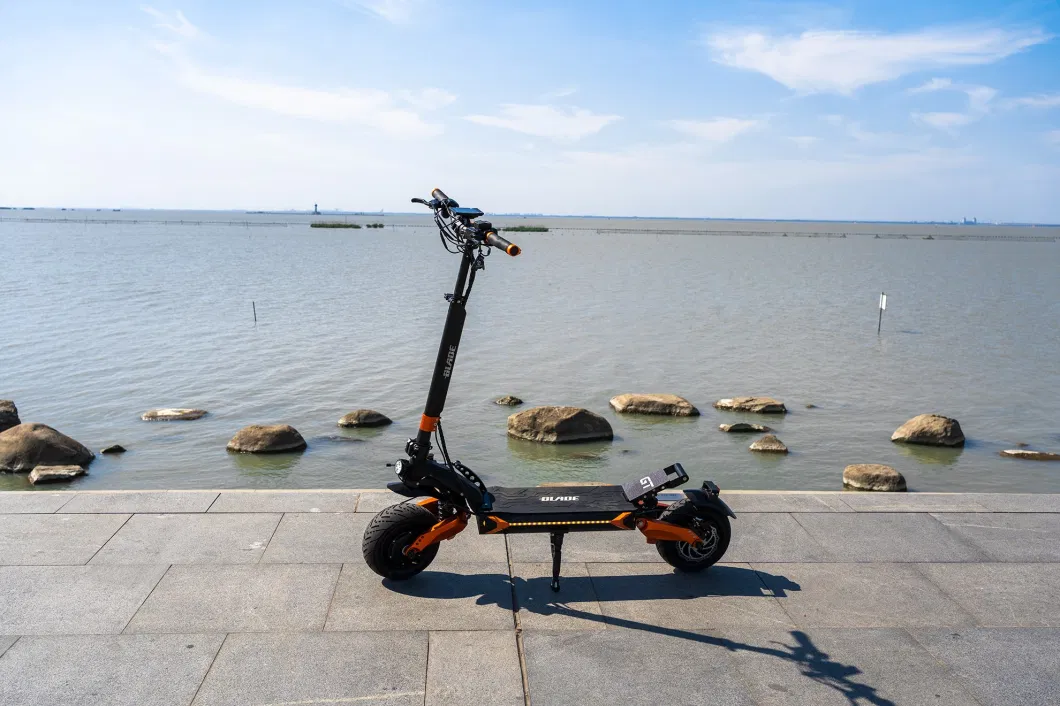 Strong Power Cheap Electric Scooter Teverun Gt Plus Dirt Bike