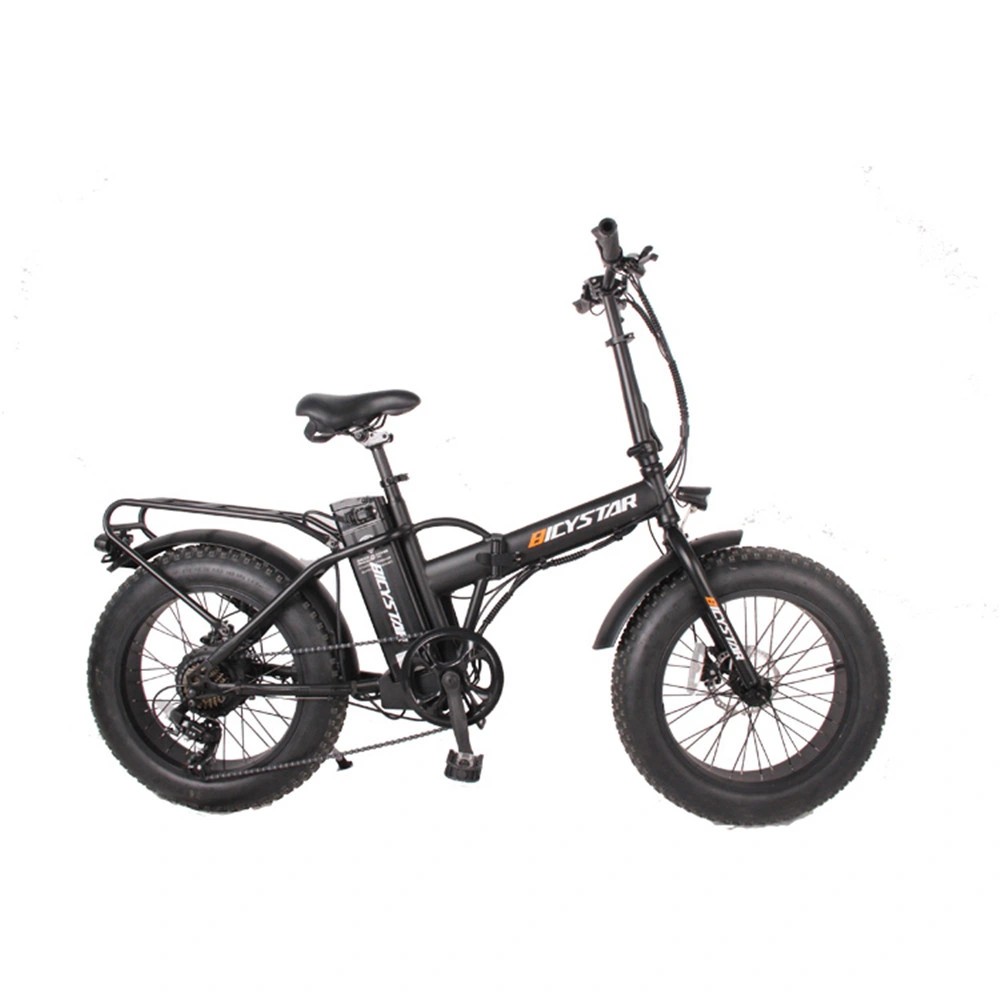 Fat Bike Fat Boy 1000W 750W with Suspension Fatbike Foldable Electric Bike