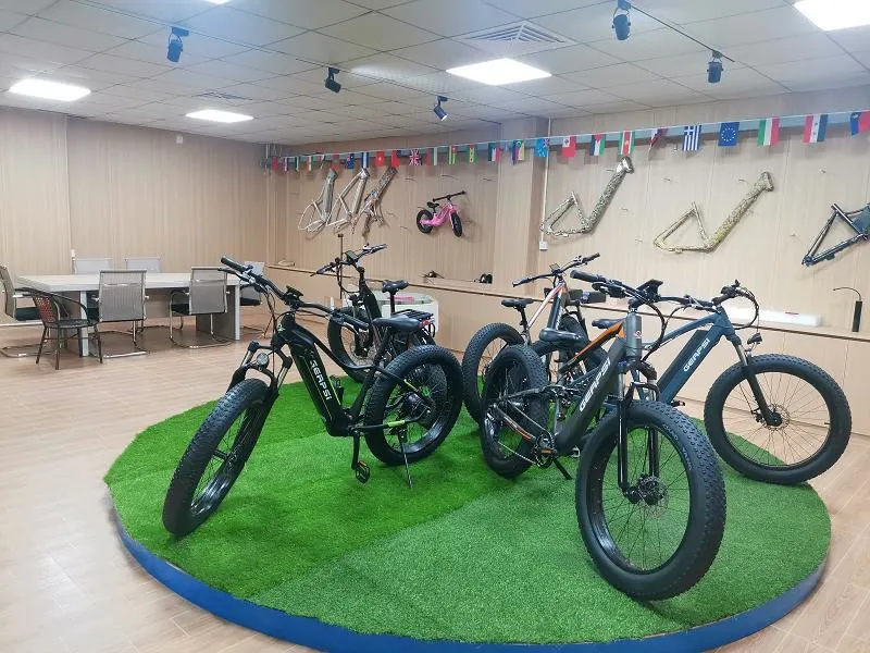 Electric Folding Cycle E Bike OEM Fat Tire Bike 20 Inch 500W Aluminum Alloy Ebike Fatbike Electric Bike for Adult City Mountain Folding Bike