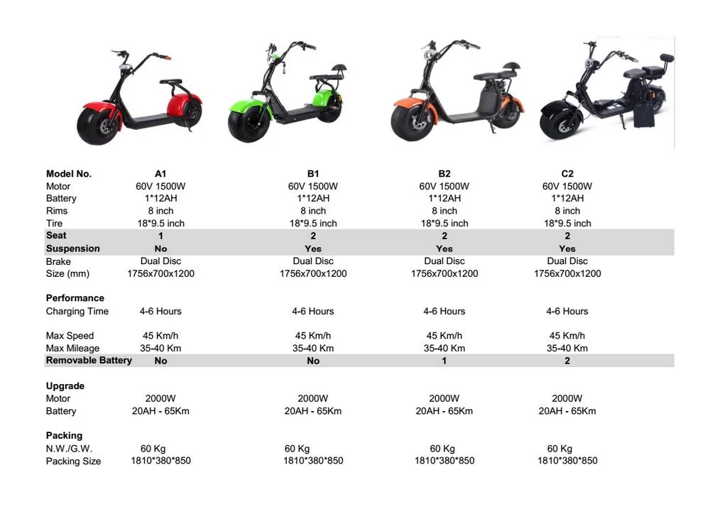 3 Wheel Citycoco Electric Scooter Adult Fat Tire Motorcycle Mobility Scooter