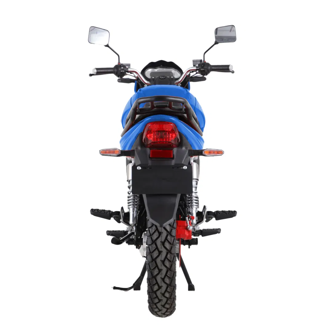 2022 Lithium Battery Super Power Two-Wheel Top Speed Electric Motorcycle of 75 Km/H