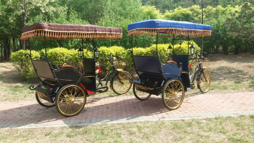 Three Wheel Motorized Tricycles Electric Rickshaw Pedicab