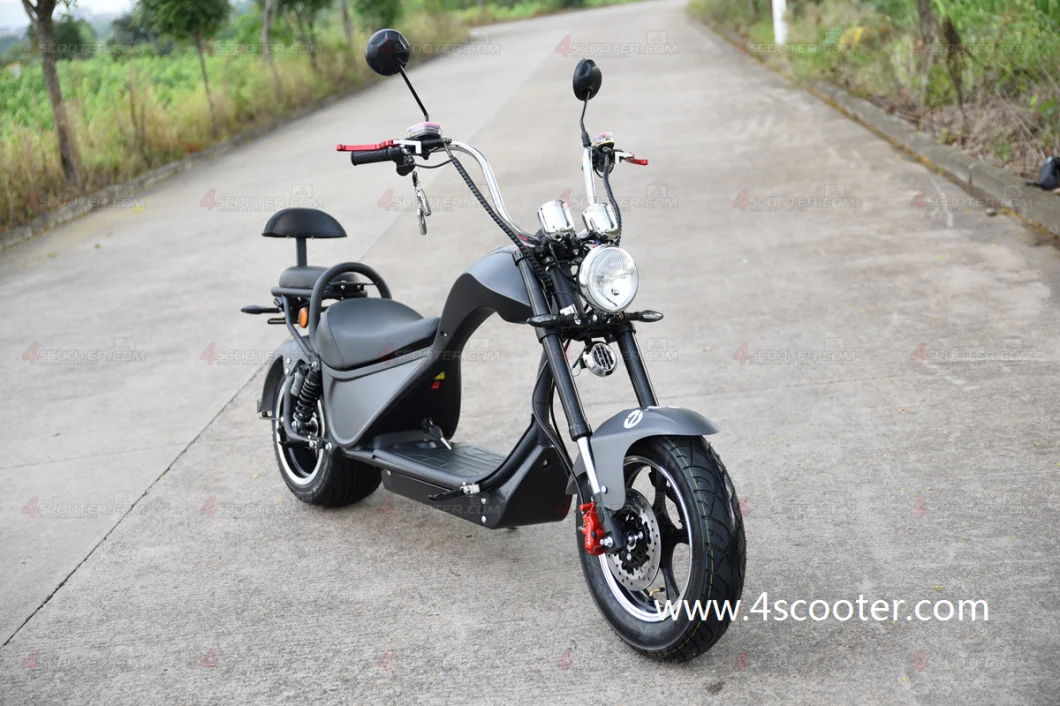 2023 New EEC Adult Electric Chopper Bike Scooter with Two Seater