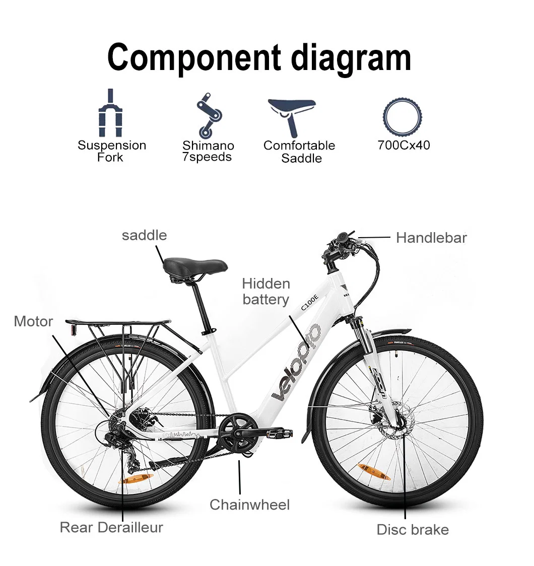 Lightweight Electric Chargeable Bicycle 350W Hub Motor City Electric Bicycle for Woman