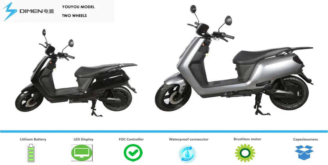 Longger Range Fast Speed High-End EEC Electric Scooter with EEC