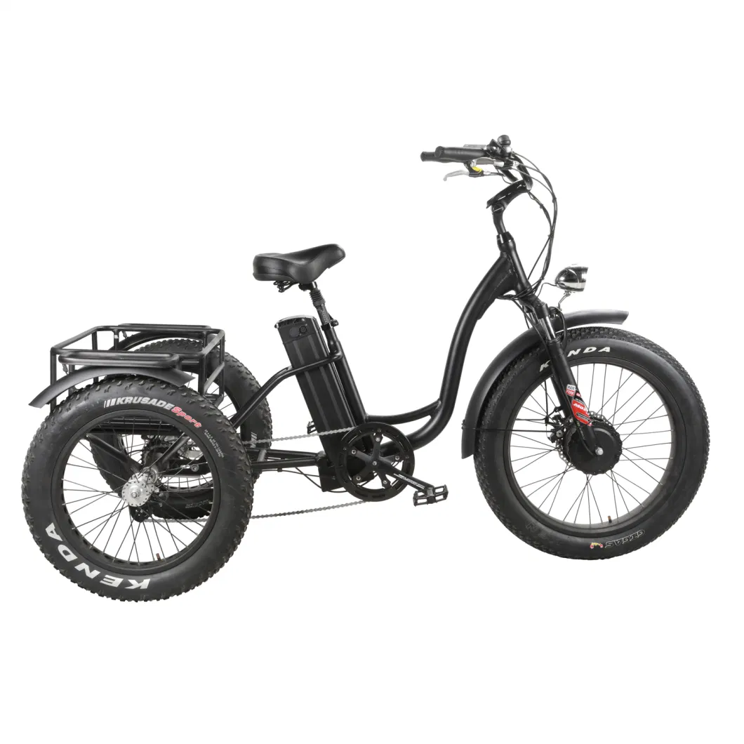 Electric Cargo Trike for Disabled with Fat Tyres