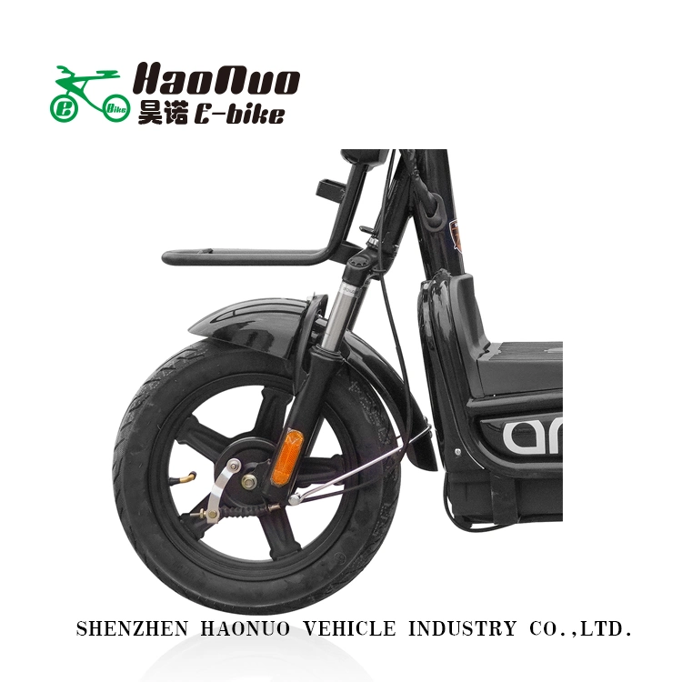 2022 Hot Sell New Model 14 Inch 48V 350watt Electric Bike