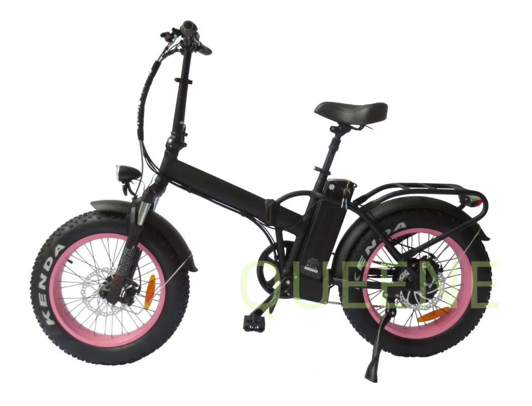 Adjustable Fat Tire Electric Bike Ebike Folading Electric Bicycle for Adult