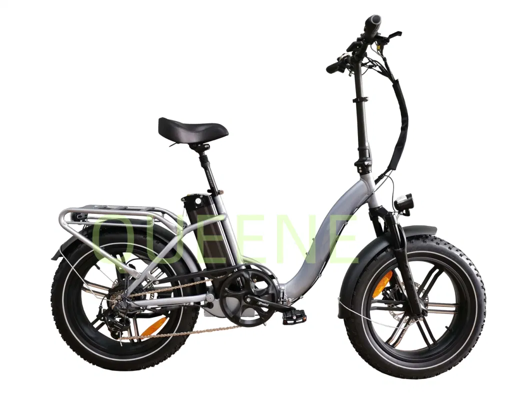 Queene/DOT Adult Electric Bike/Electric Bicycle/Moped with Pedal Cheap Price