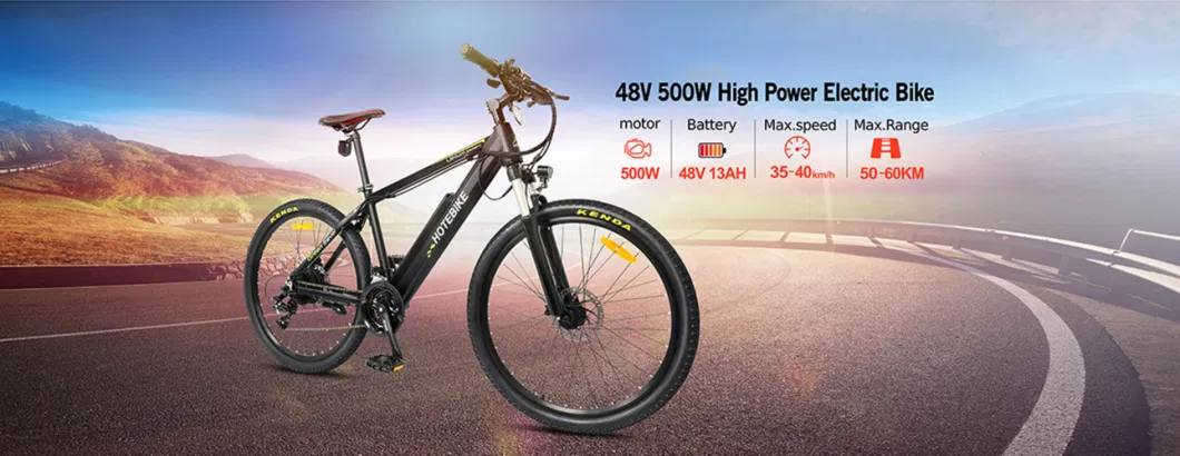A5ah28 Electric Bicycle, 28 Inch Ebike, with LCD-Display