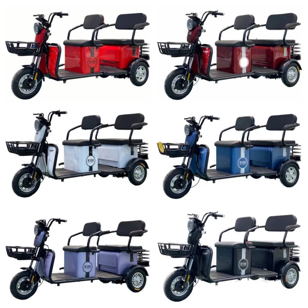 3 Wheel Light Electric Passenger Scooter Tricycle for Adult by Ec Certification