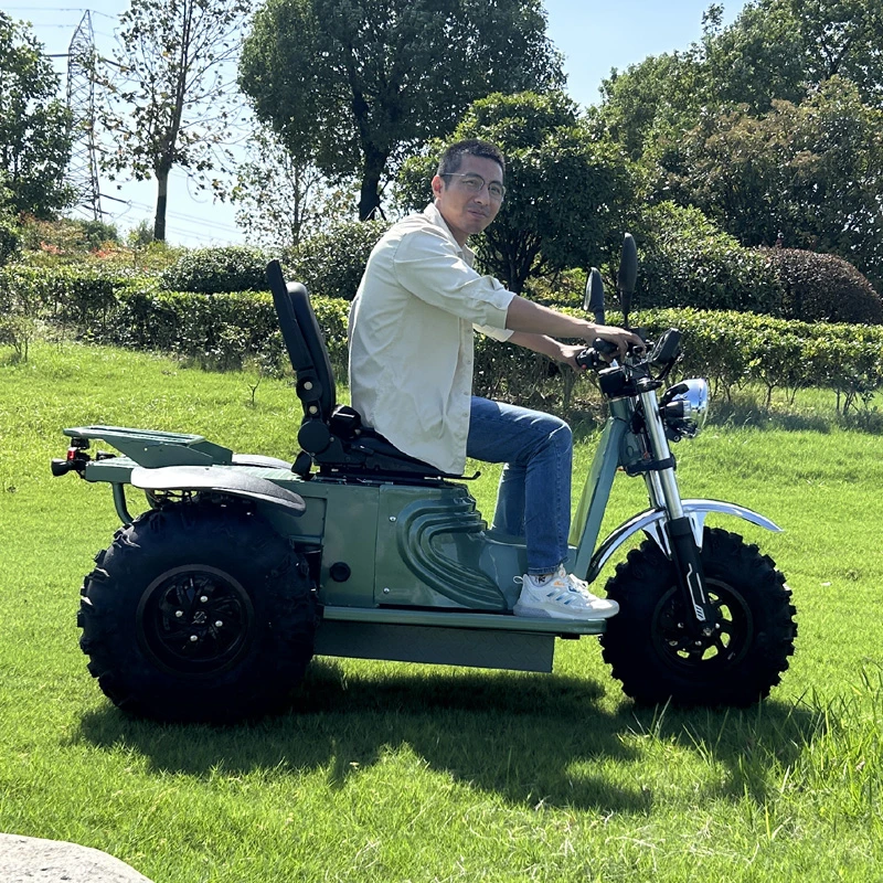 off Road 3 Wheel Electric Mobility Scooter with CE