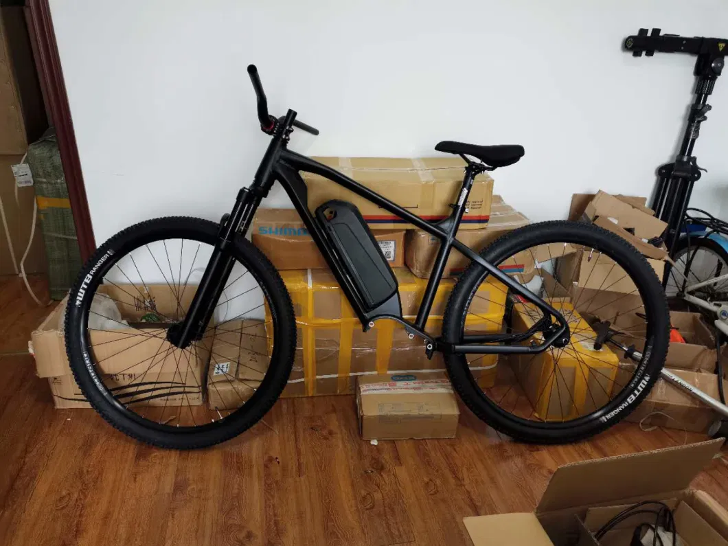 Bafang 29er 1000W Ebike Frame, MID-Drive Electric Bicycle Frame Kit