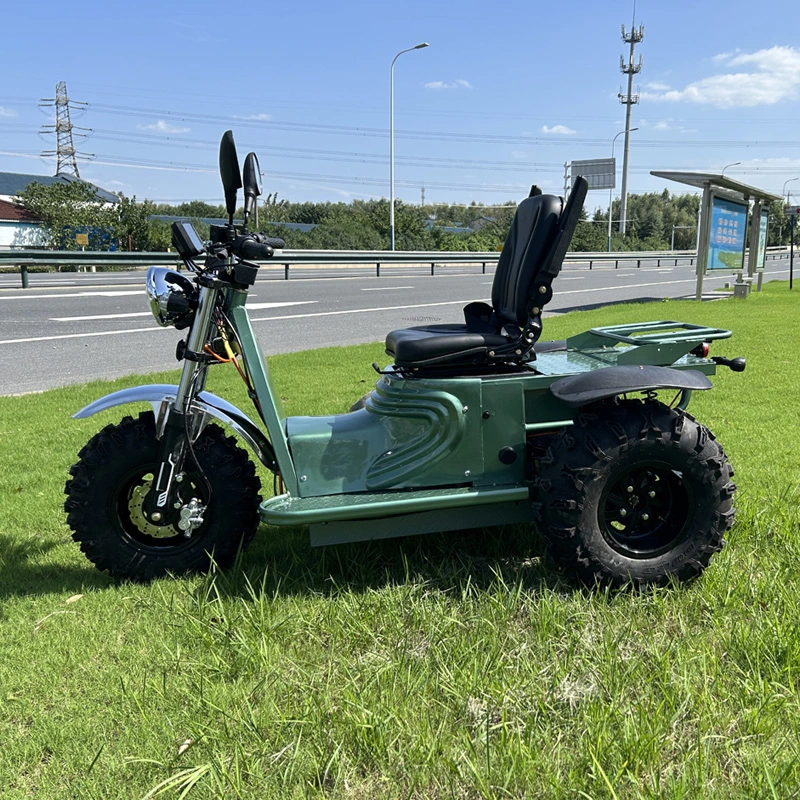 off Road 3 Wheel Electric Mobility Scooter with CE